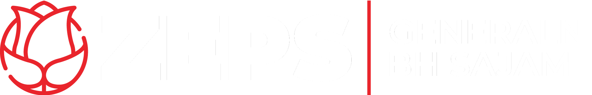 ZEPS